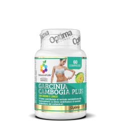 Garcinia Cambogia Plus %separator% %brand%