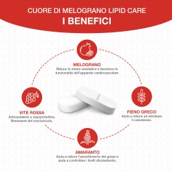 %product-name% %separator% %brand%